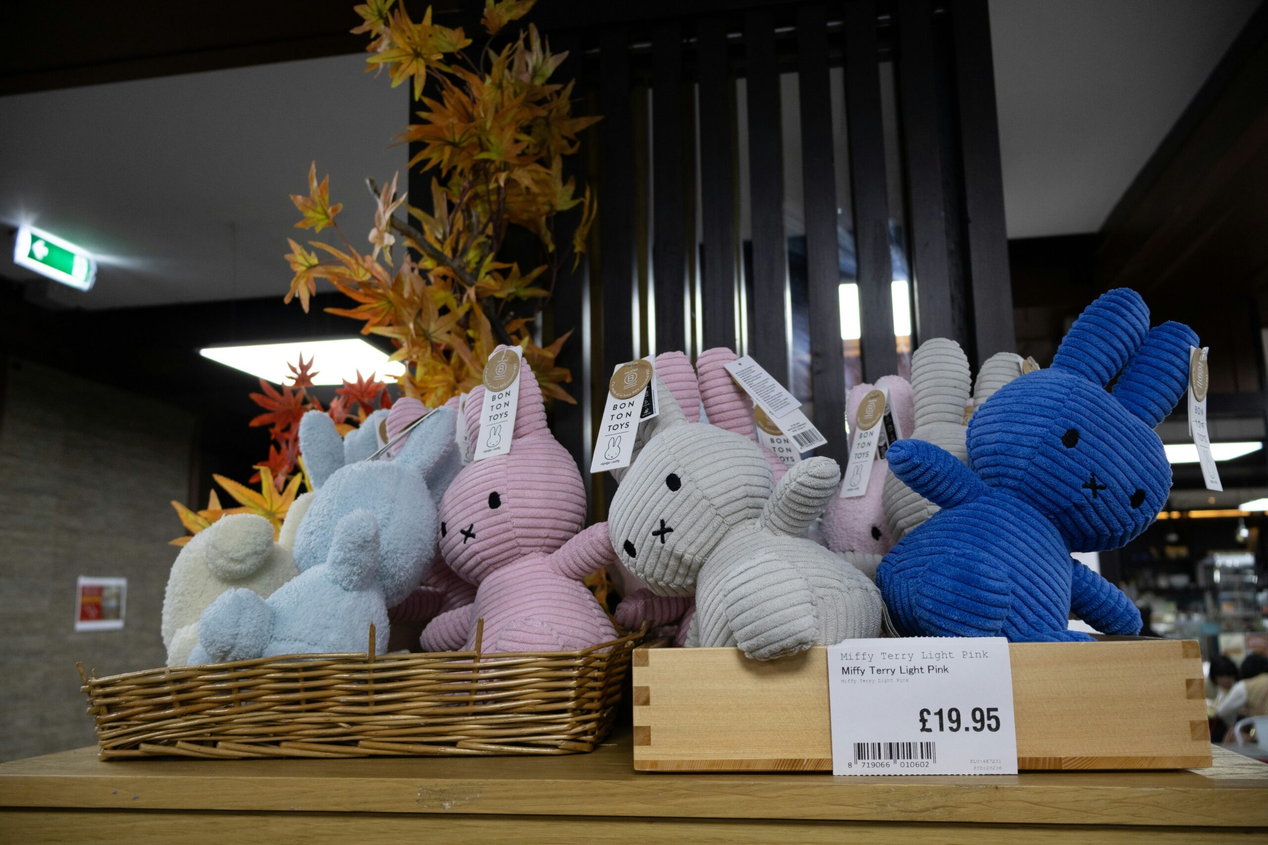 Imagen destacada de Hello World